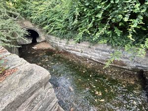 Photo 27- click for photo gallery